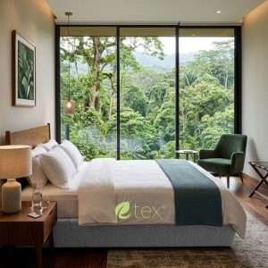 Bộ Ga Gối Cotton Cao Cấp 100% T400
